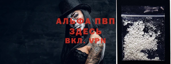 гидра Ельня