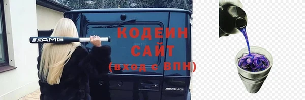 ПСИЛОЦИБИНОВЫЕ ГРИБЫ Заволжье