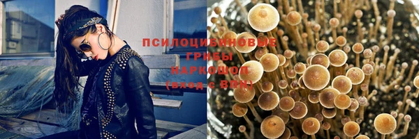 ПСИЛОЦИБИНОВЫЕ ГРИБЫ Заволжье