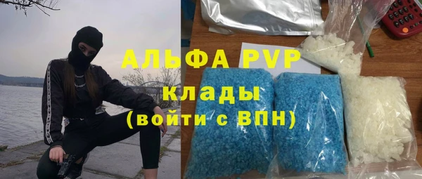 ПСИЛОЦИБИНОВЫЕ ГРИБЫ Заволжье