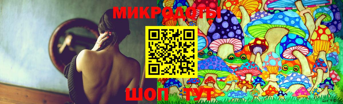 Ишимбай  Псилоцибиновые грибы Psilocybine cubensis  Вход с VPN 