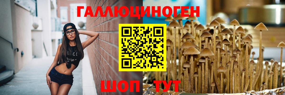 Псилоцибиновые грибы мицелий Ишимбай